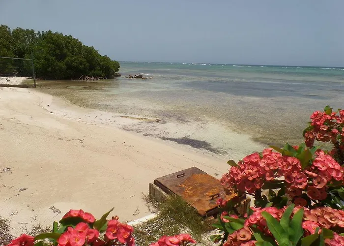 Hotel Reggae Reef 3*