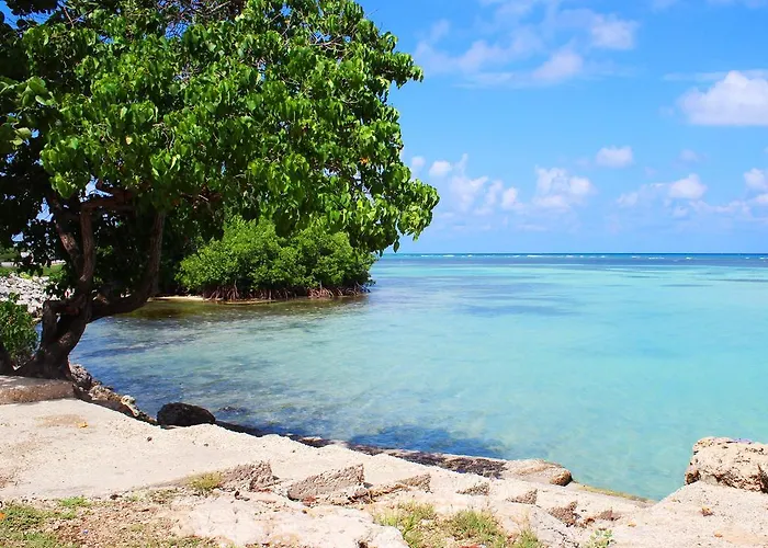 Hotel Reggae Reef Montego Bay