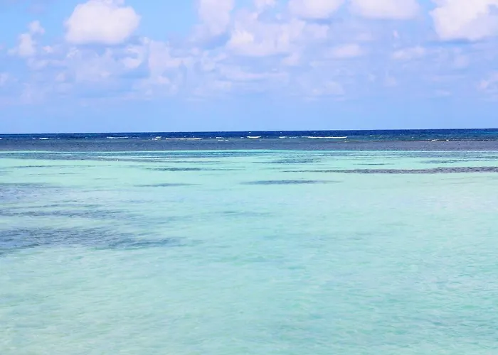 Hotel Reggae Reef 3*
