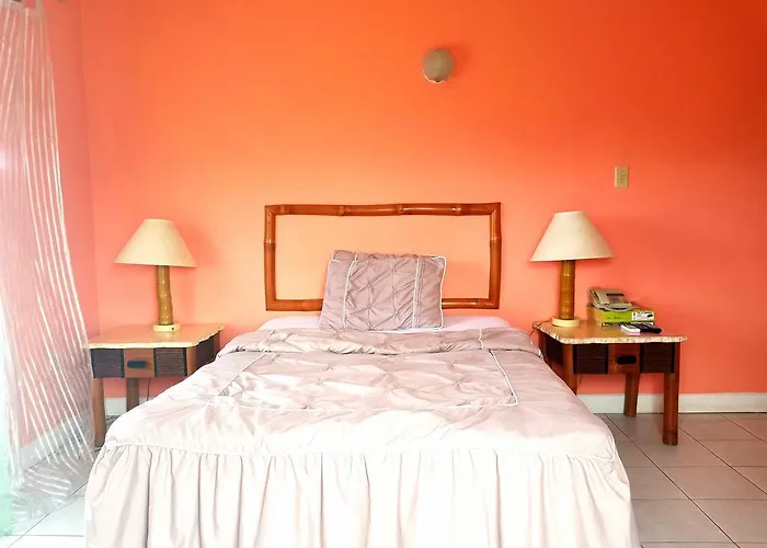 Hotel Reggae Reef